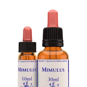 Mimulus