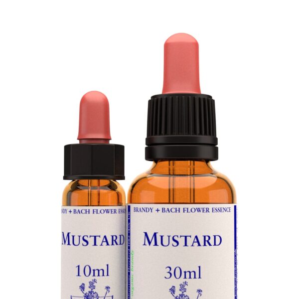 virtusia-bachovky-Mustard Mustard - Obrázek 1