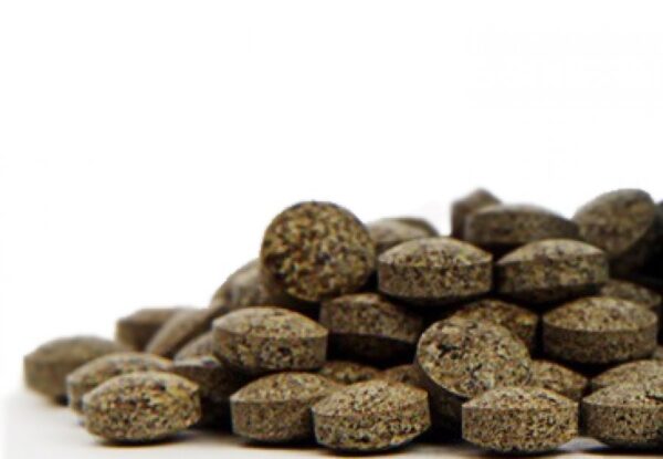 PIAN 017P Dech ohnivého draka - Obrázek 1