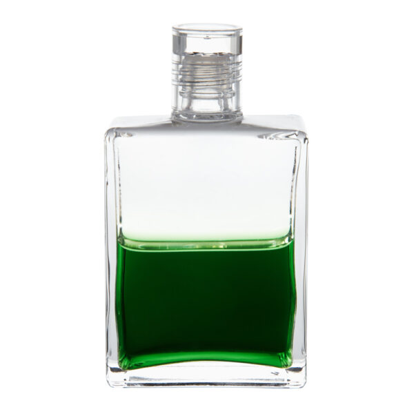 Equilibrium B13 Změna v Novém roce - Obrázek 1