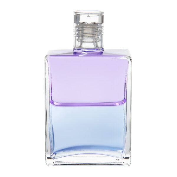 Equilibrium B44 Anděl strážný - Obrázek 1