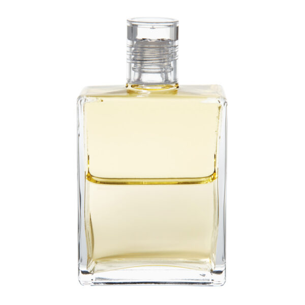 Equilibrium_51 Equilibrium B51 Kuthumi - Obrázek 1