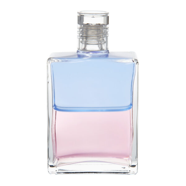 Equilibrium_58 Equilibrium B58 Orion & Angelika - Obrázek 1