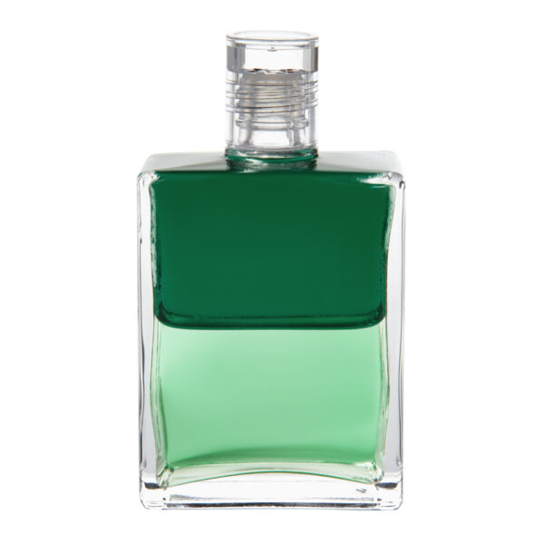 Equilibrium B63 Djwal Khul a Hilarion - Obrázek 1