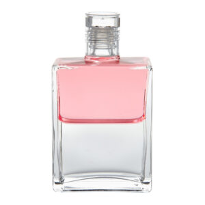 Equilibrium B71 Klenot v lotosu/Flakón Esejců 2