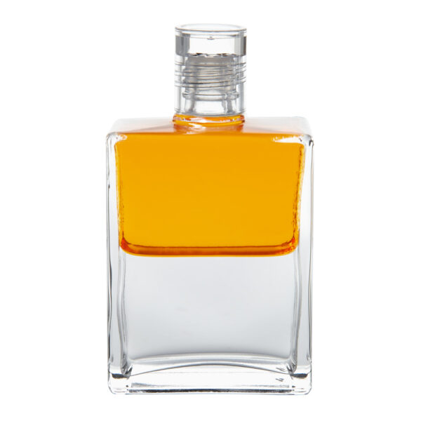 Equilibrium B73 Chang Tsu - Obrázek 1