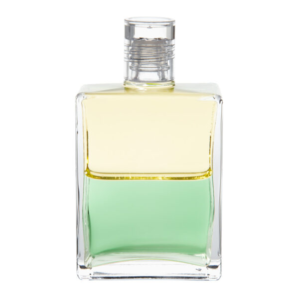 Equilibrium B74 Triumf - Obrázek 1