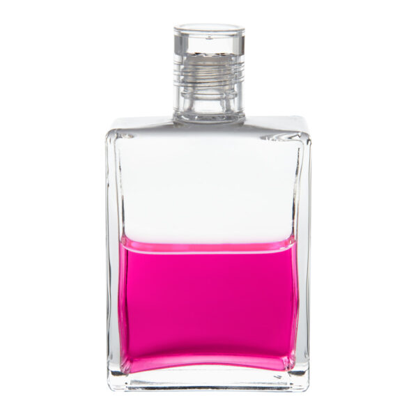 Equilibrium_77 Equilibrium B77 Kalich - Obrázek 1