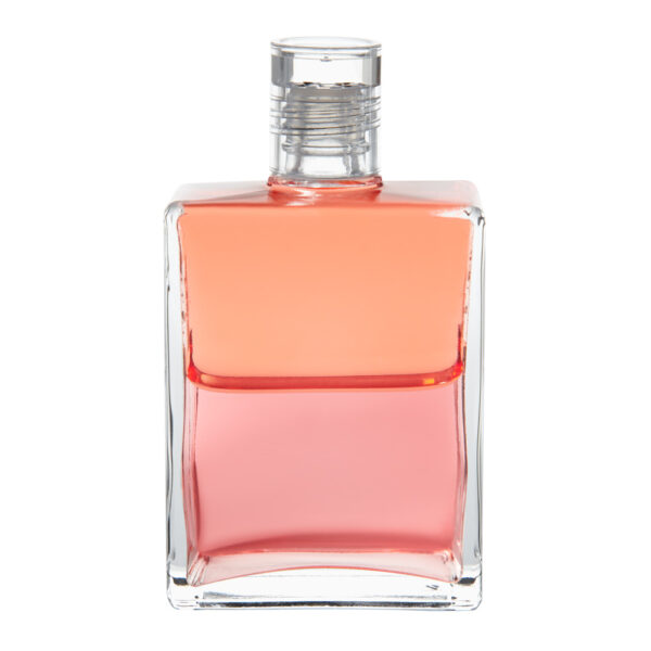 Equilibrium B87 Moudrost lásky - Obrázek 1