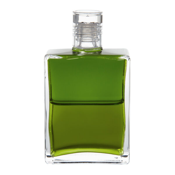 Equilibrium B91 Ženské vůdcovství srdce - Obrázek 1