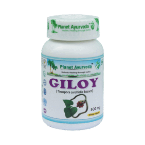 Giloy
