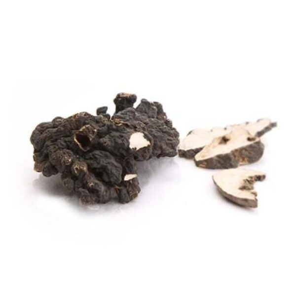 Polyporus MycoMedica - Obrázek 2