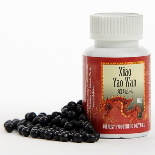 WAN 061 VOLNOST SVOBODNÉHO POUTNÍKA - Obrázek 2