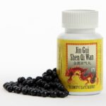 WAN 171 TAJEMSTVÍ ZLATÉ SKŘÍŇKY - Obrázek 2