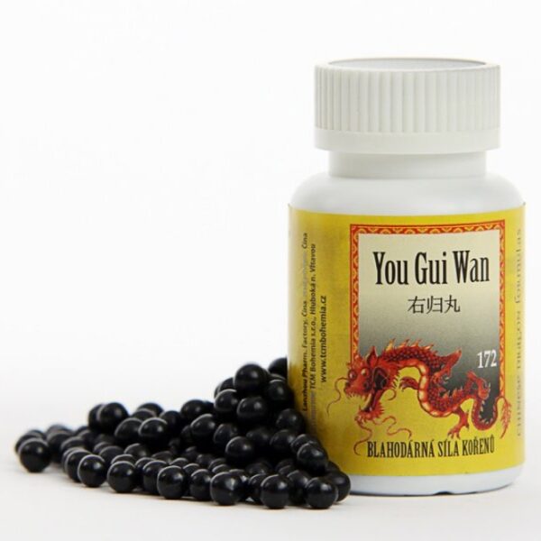 WAN 172 BLAHODÁRNÁ SÍLA KOŘENU - Obrázek 2