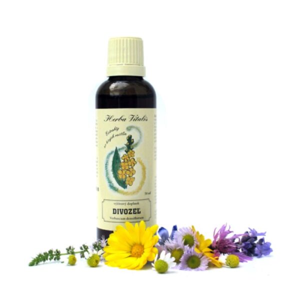 Divizna velkokvětá tinktura - Obrázek 1