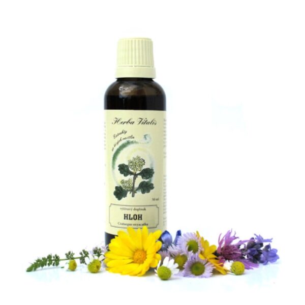 Hloh obecný tinktura - Obrázek 1