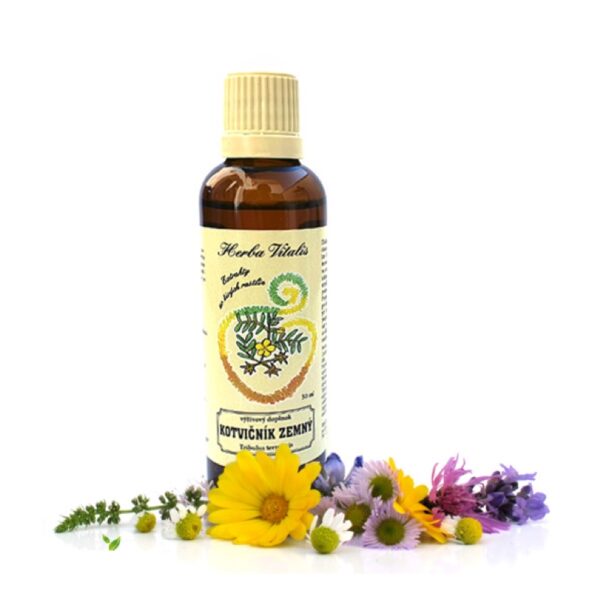 Kotvičník zemní tinktura - Obrázek 1