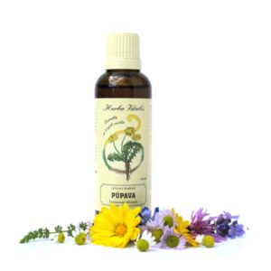 Pampeliška lékařská tinktura