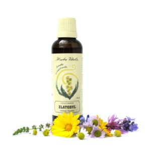 Zlatobýl obecný tinktura
