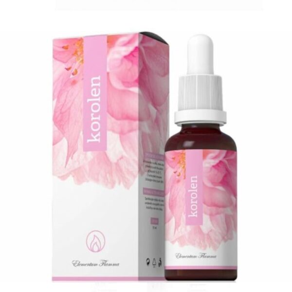 Korolen - Obrázek 1