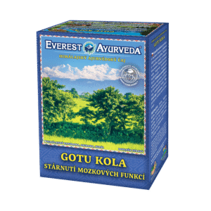 GOTU KOLA čaj na paměť